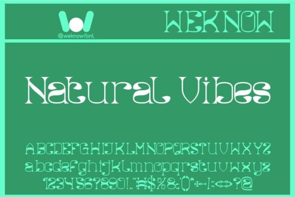 Natural Vibes: A Decorative Serif Font for Editorial Projects